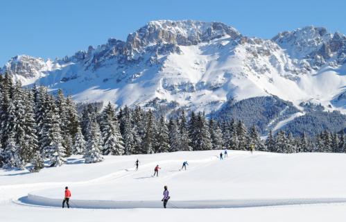 Berghotel - Winter Dolomiti
